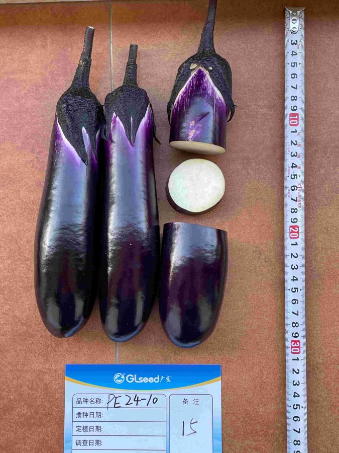 PE24-10茄子（预告）