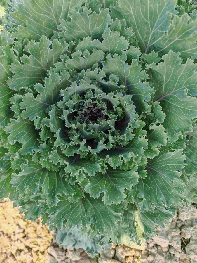 GL-YK-14（预告）