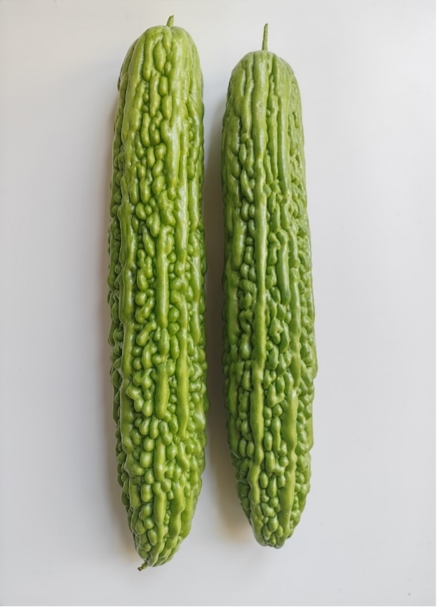 BY1064P苦瓜（预告）