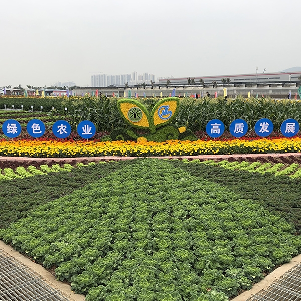 珠海平沙示范基地