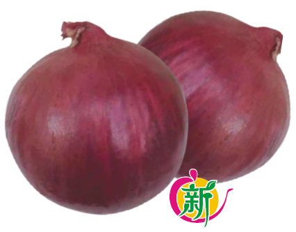 红鑫818洋葱