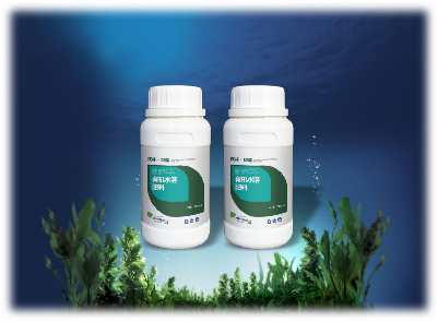 沃朴&middot;极藻